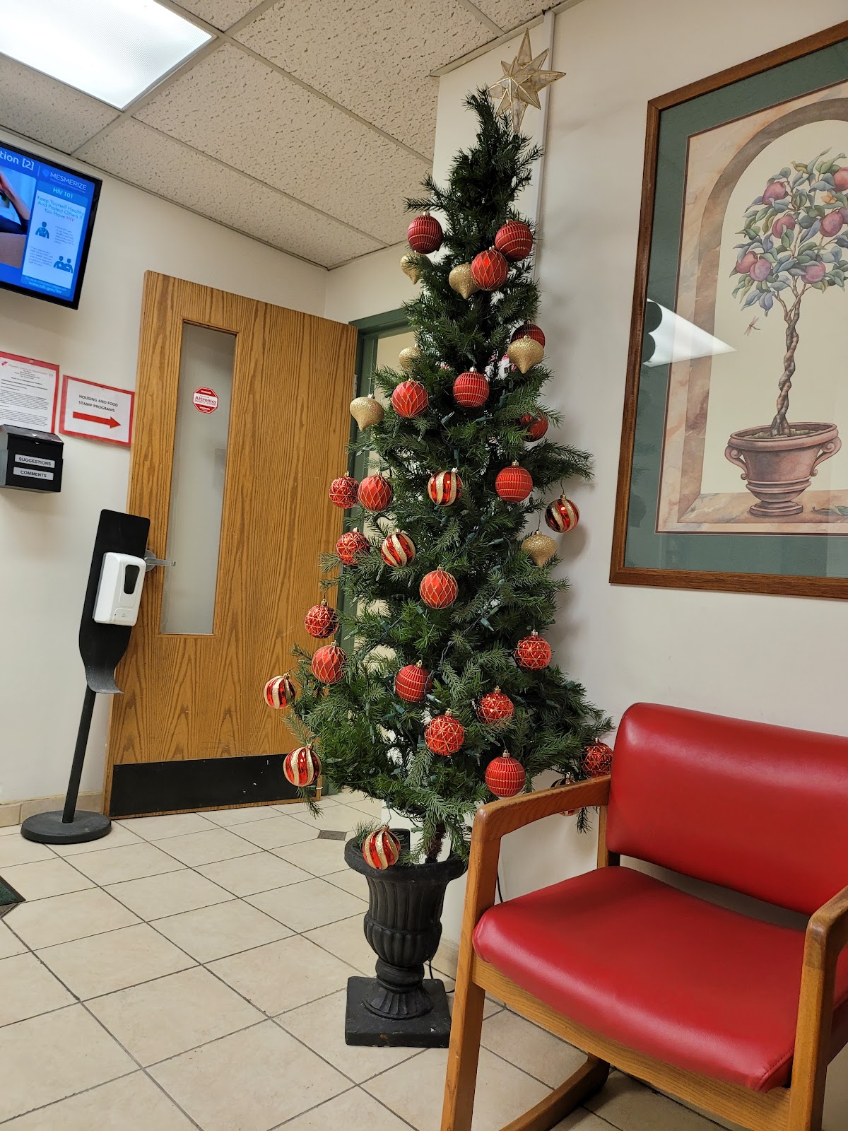 Hispanic American Organization